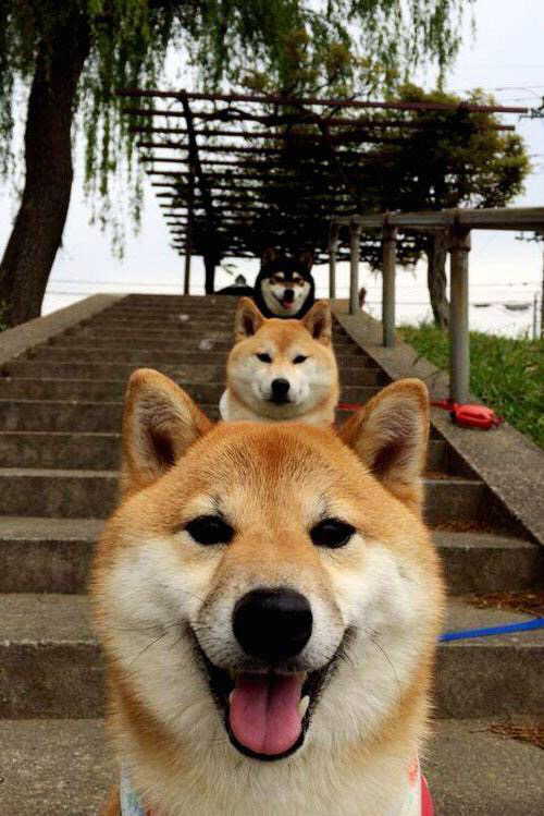 开云体育在线-英超争冠焦点战，拉齐奥逆转罗马