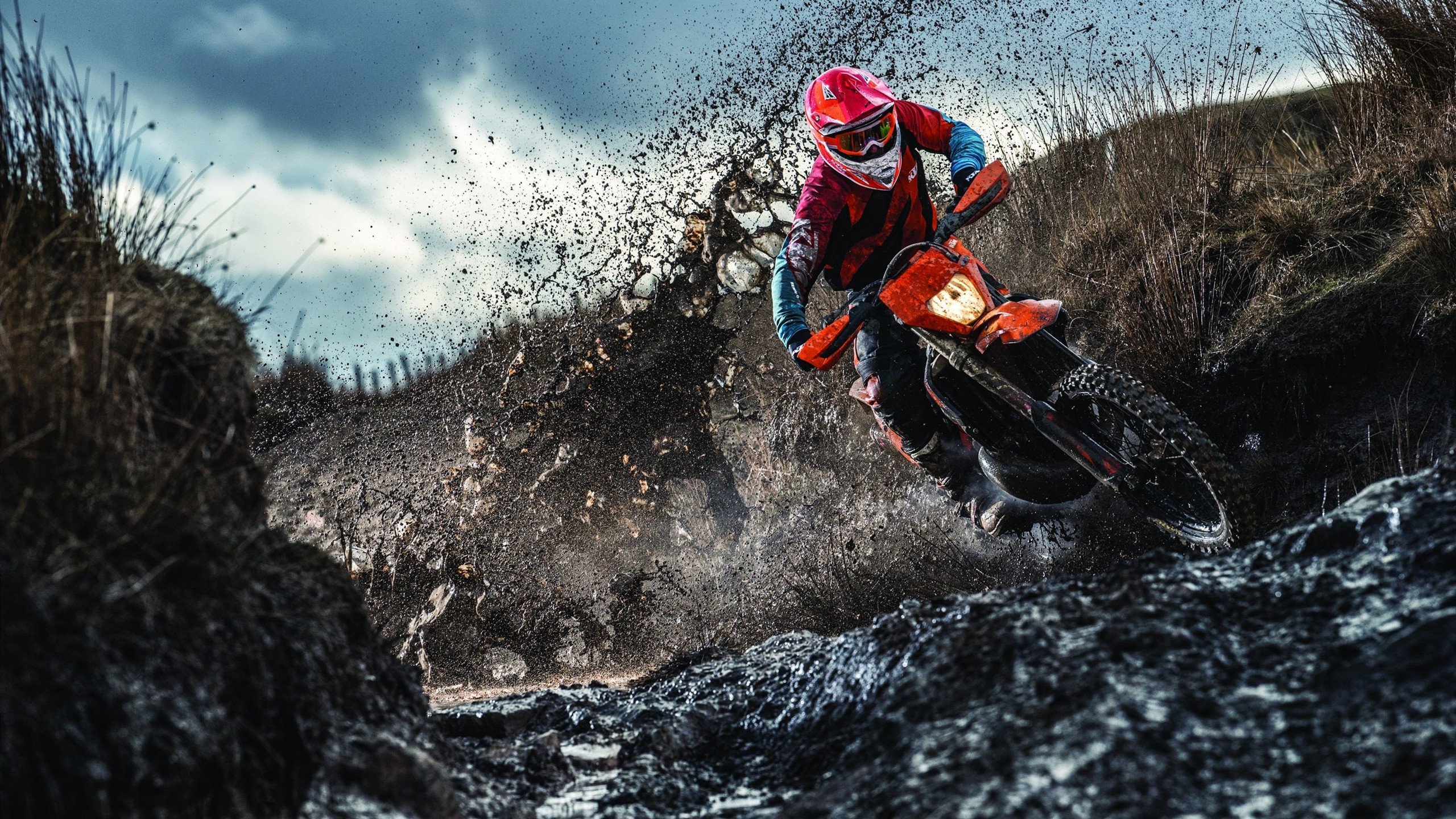 开云体育APP下载-赛道之巅，上海队极限超车黄蜂，是创纪录还是毁于失误？