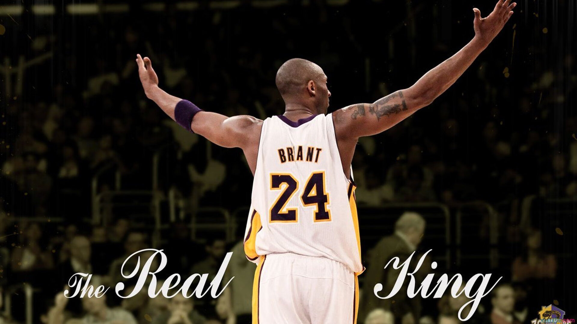 焦点战完美证明,加克波,瑞典人凭什么赢?